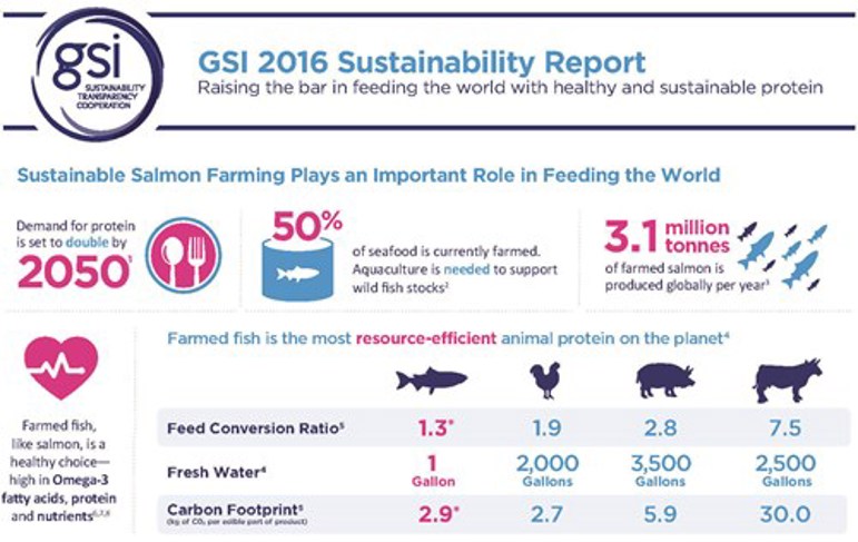 GSI Sustainability Report