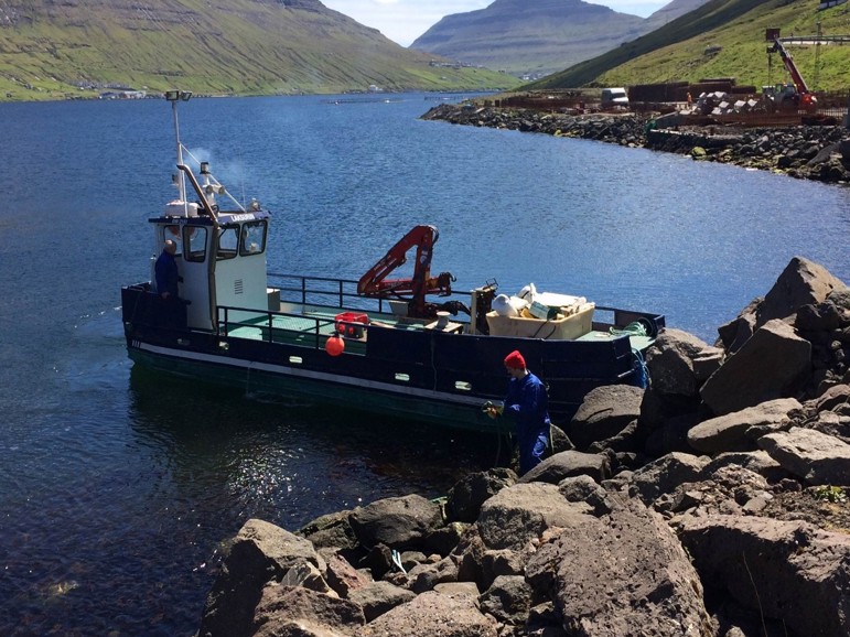 Faroese farming industry is cleaning the fjords