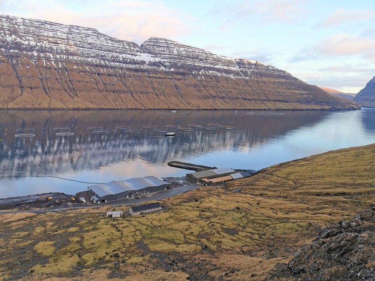Bakkafrost expands Norðtoftir hatchery