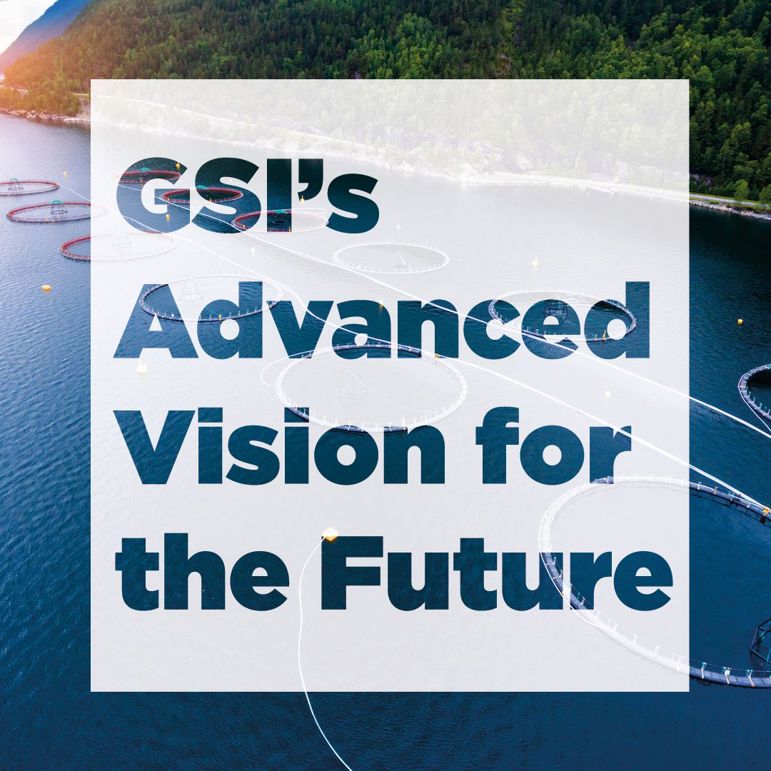 Global Salmon Initiative (GSI) kunnger nýggja visión